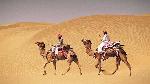 1467696085_0Bikaner 1.jpg